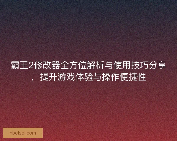霸王2修改器全方位解析与使用技巧分享，提升游戏体验与操作便捷性