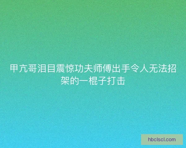 甲亢哥泪目震惊功夫师傅出手令人无法招架的一棍子打击
