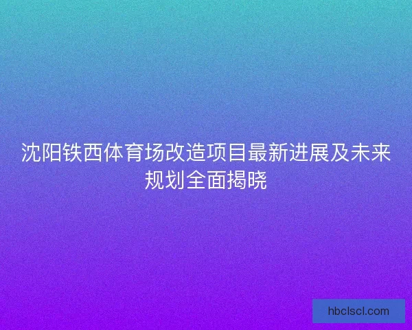 沈阳铁西体育场改造项目最新进展及未来规划全面揭晓